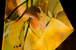Coloured Leaves | Chiffon Scarf