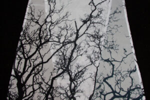Winter Trees | Chiffon Scarf