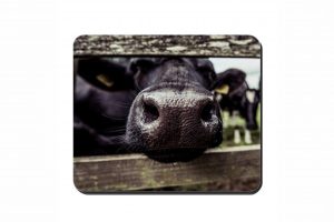 Nosey Cow Cork Placemat 2