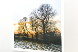 Greeting Card | Winter Gold