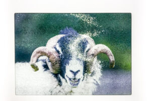 Laughing Tup | Glass Chopping Board