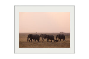 African Mounted Prints