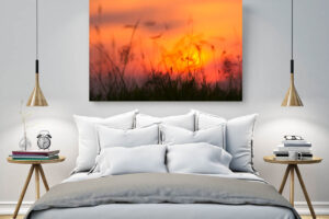 Sunset Burning| Wall Art