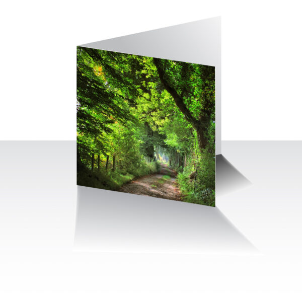 Forest Path Greeting Card