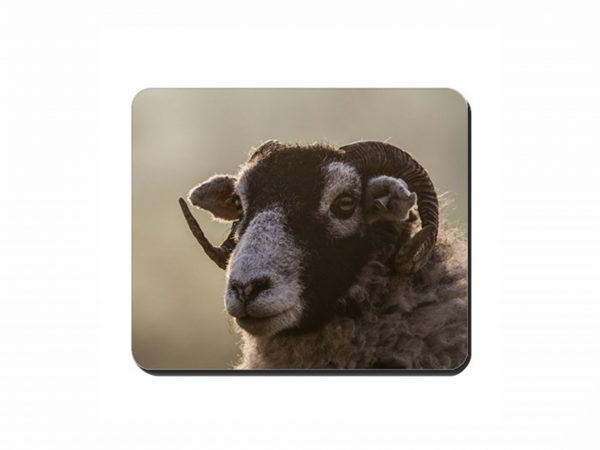 Swaledale Sheep Cork Placemat 2