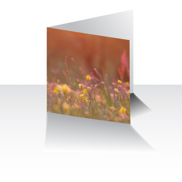 May Flowers Greeting Card