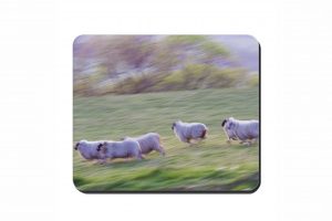 Running Sheep Cork Placemat 2