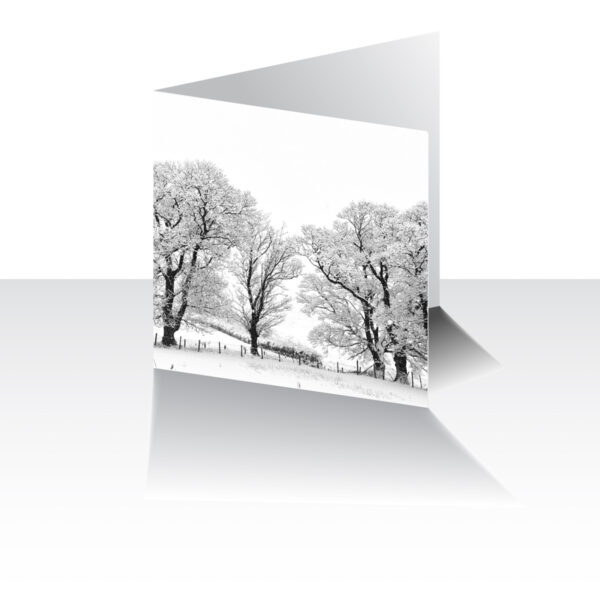 Winter Trees Greeting Card