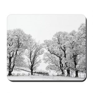 Winter Trees Cork Placemat