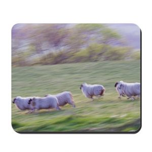Running Sheep Cork Placemat