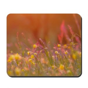 May Meadow Cork Placemat