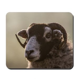 Maroon Sheep Cork Placemat