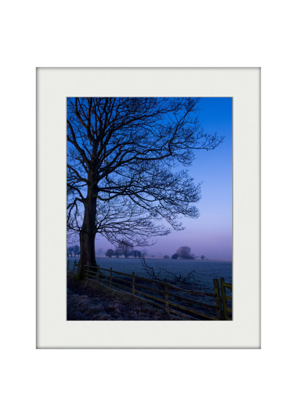 Blue Dawn | Mounted Print