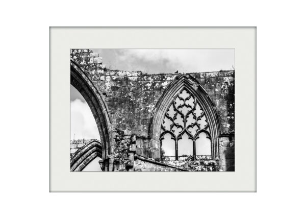 Bolton Abbey Detail | Mounted Print