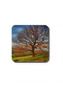 Autumn Tree | Coaster