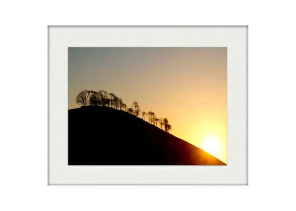 Dale Silhouette | Mounted Print