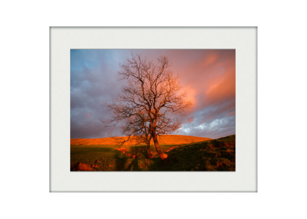 Red Pendle | Mounted Print