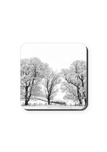 Winter Trees Coaster