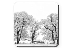 Winter Trees Coaster