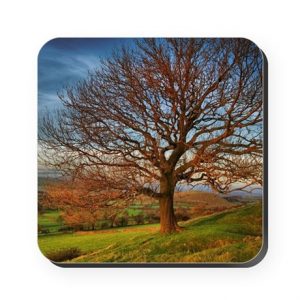 Autumn Tree Cork Coaster