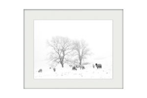In the Bleak Midwinter | Mounted Print