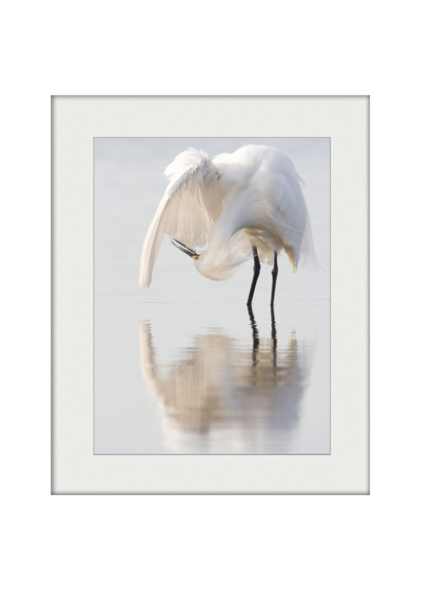 Mirrored Dancer | Mounted Print