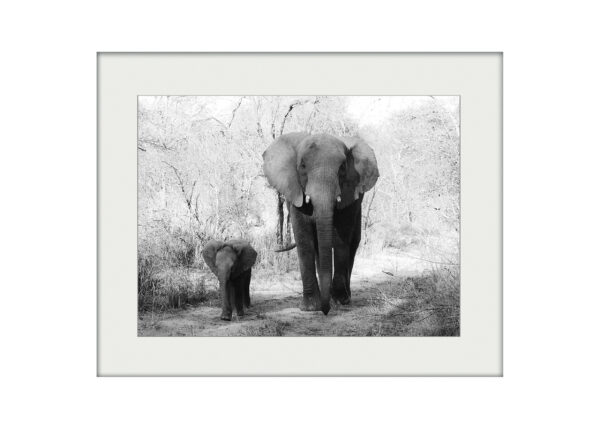 Mother and Child | Mounted Print