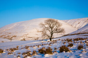 Blue and White Pendle