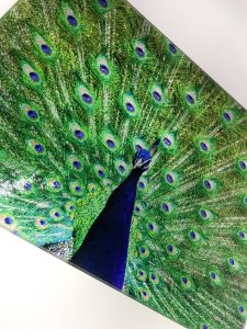 Peacock | Glass Chopping Board Detail