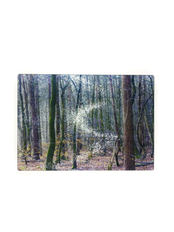 Spring Woods | Glass Chopping Board