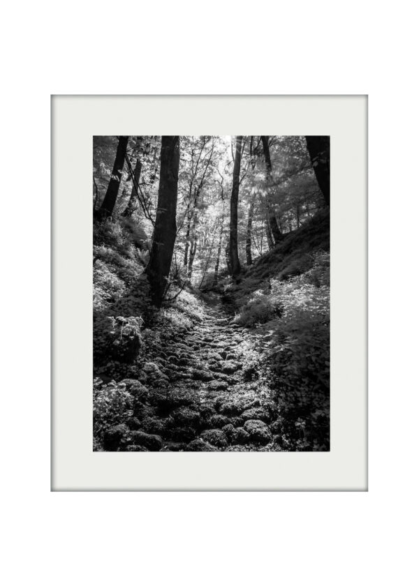 Silver Stream Mounted Print