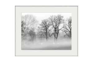Winter Mists Mounted Print