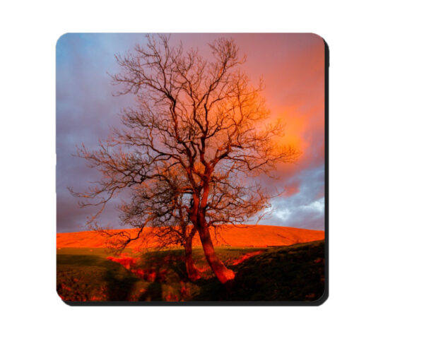 Coaster Red Pendle