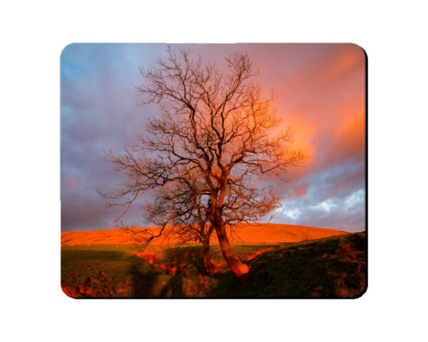 Placemat Red Tree on Pendle Mockup