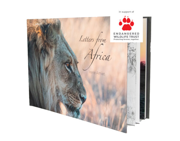Letters From Africa Book