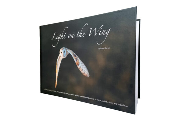 Book Title | Light on the Wing