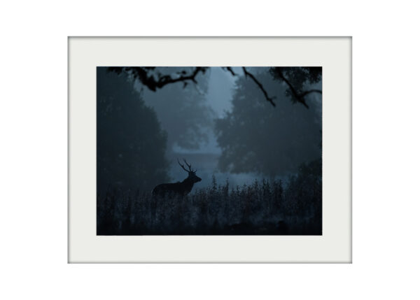 A3 Mockup | Blue Hour Stag