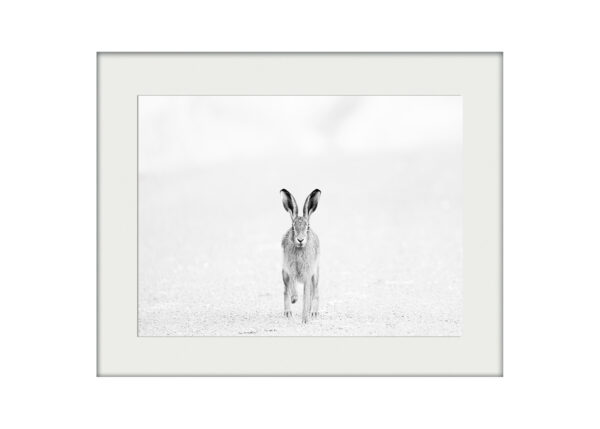 A3 Mockup | Hare Portrait