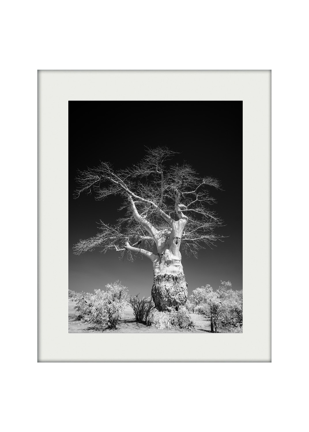 A3 Mockup | Baobab II